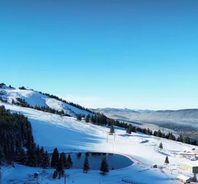 Avec Balcon, Au Pied Des Pistes Et Randos Daire Villard-de-Lans Dış mekan fotoğraf